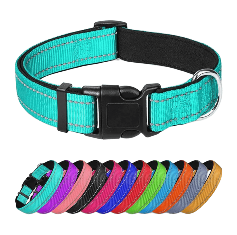 Collares reflectivos para mascotas