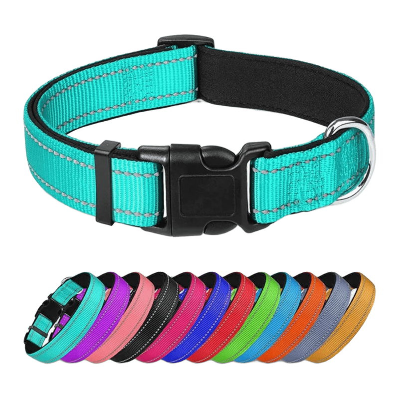 Collares reflectivos para mascotas