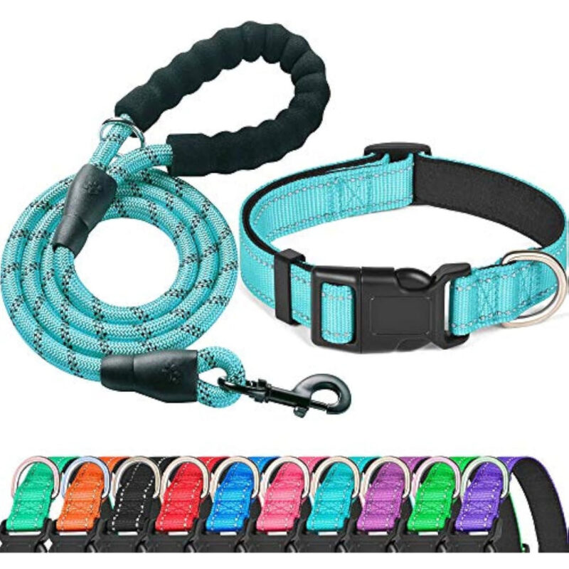 COMBO: Collar reflectivo + correa para mascotas