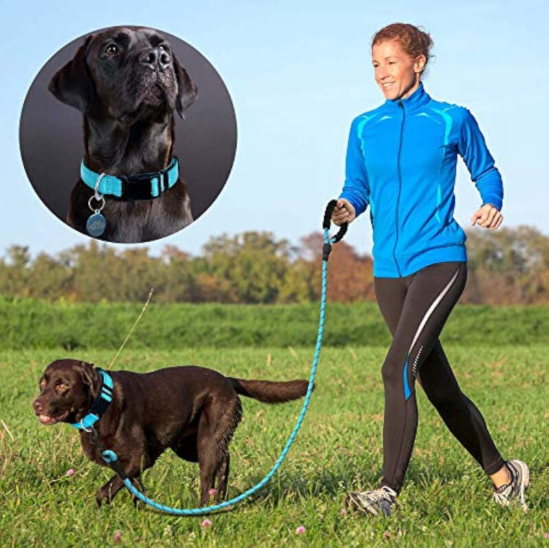 COMBO: Collar reflectivo + correa para mascotas