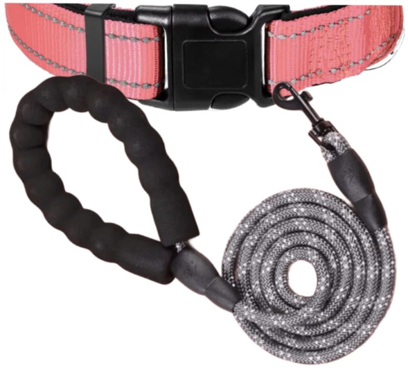 COMBO: Collar reflectivo + correa para mascotas