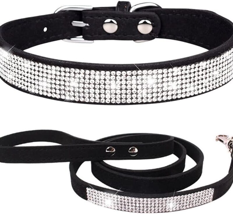 COMBO Collar + Correa Elegante Para Mascotas Con Diamantes Brillantes
